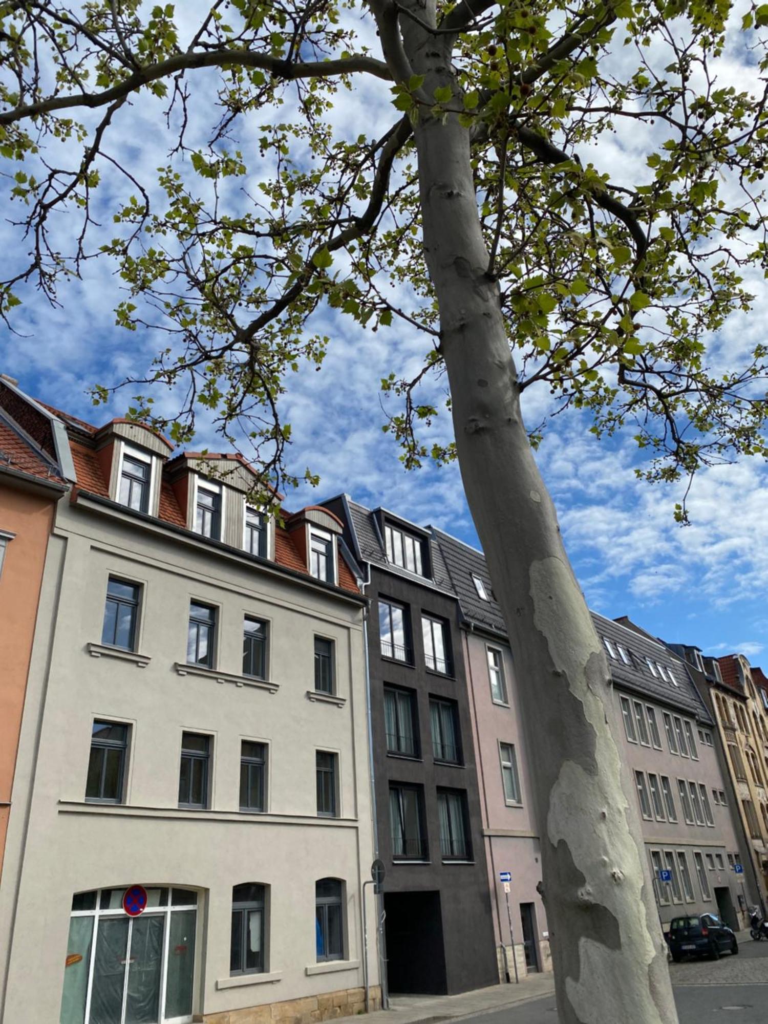 Eiwelhome - Stilvoll, Urban-Ruhig Schlafen, Bahnhofsnah, Balkon 埃尔福特 外观 照片